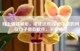网上借钱被拒，试试这些5个必下款的网贷口子借款软件，不容错过