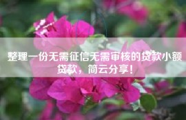 整理一份无需征信无需审核的贷款小额贷款，简云分享！