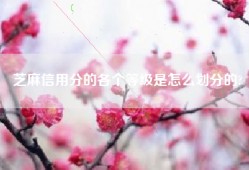 芝麻信用分的各个等级是怎么划分的?