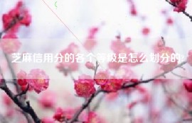 芝麻信用分的各个等级是怎么划分的?