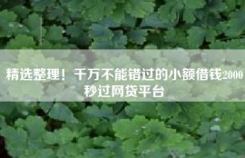 精选整理！千万不能错过的小额借钱2000秒过网贷平台