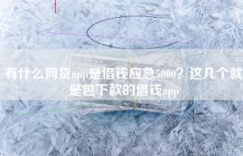 有什么网贷app是借钱应急5000？这几个就是包下款的借钱app