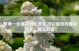 整理一份黑户什么软件可以借到钱借款口子，简云分享！