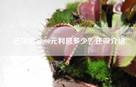 还呗借30000元利息多少？还呗介绍