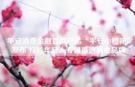 平安消费金融首款产品“平安小橙花”发布 打造年轻人专属首选消金品牌