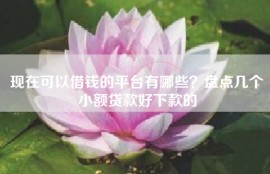 现在可以借钱的平台有哪些？盘点几个小额贷款好下款的
