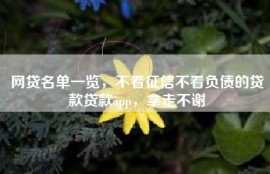 网贷名单一览，不看征信不看负债的贷款贷款app，拿走不谢