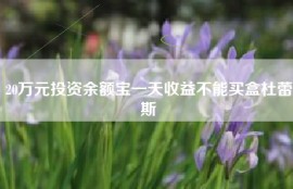 20万元投资余额宝一天收益不能买盒杜蕾斯
