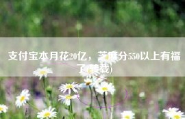 支付宝本月花20亿，芝麻分550以上有福了(转载)