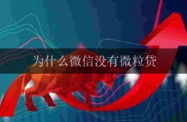 为什么我的微信没有微粒贷？了解可能的原因