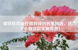 借钱软件最好借到钱的名单精选，这几个小额贷款实测有效！