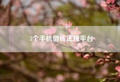 5个手机借钱正规平台
