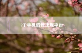 5个手机借钱正规平台