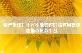 精选整理！千万不能错过的临时用钱快速借款贷款平台