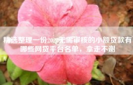 精选整理一份2022无需审核的小额贷款有哪些网贷平台名单，拿走不谢