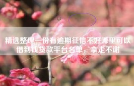 精选整理一份有逾期征信不好哪里可以借到钱贷款平台名单，拿走不谢
