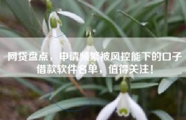 网贷盘点，申请频繁被风控能下的口子借款软件名单，值得关注！