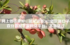 网上借钱被拒，试试这些2022借款新口子百分百能下款网贷平台，不容错过