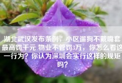 湖北武汉发布条例，小区遛狗不戴嘴套最高罚千元 物业不管罚3万，你怎么看这一行为？你认为深圳会实行这样的规矩吗？