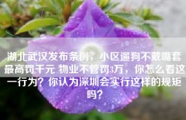 湖北武汉发布条例，小区遛狗不戴嘴套最高罚千元 物业不管罚3万，你怎么看这一行为？你认为深圳会实行这样的规矩吗？