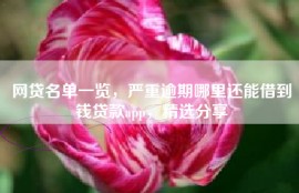 网贷名单一览，严重逾期哪里还能借到钱贷款app，精选分享
