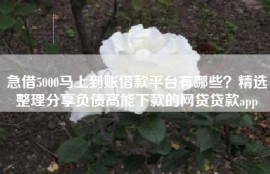急借5000马上到账借款平台有哪些？精选整理分享负债高能下款的网贷贷款app