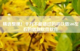 精选整理！千万不能错过的可以借500左右的借款软件软件