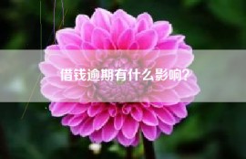 借钱逾期有什么影响？