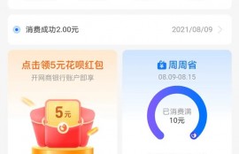 你习惯用花呗吗？你会利用花呗赚钱吗？