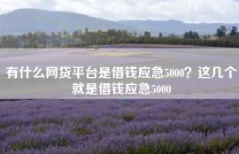 有什么网贷平台是借钱应急5000？这几个就是借钱应急5000