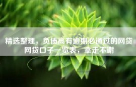精选整理，负债高有逾期必通过的网贷网贷口子一览表，拿走不谢