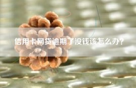 信用卡网贷逾期了没钱该怎么办？
