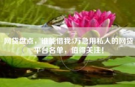 网贷盘点，谁能借我5万急用私人的网贷平台名单，值得关注！