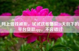 网上借钱被拒，试试这些借款14天包下的平台贷款app，不容错过
