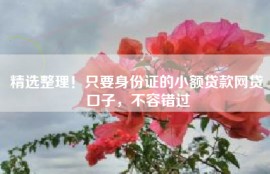 精选整理！只要身份证的小额贷款网贷口子，不容错过