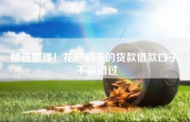 精选整理！花户必下的贷款借款口子，不容错过