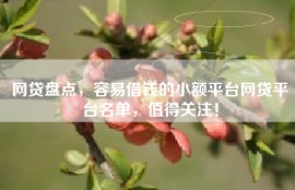 网贷盘点，容易借钱的小额平台网贷平台名单，值得关注！