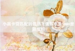 小赢卡贷匹配到信用飞借款本金50000是额度吗