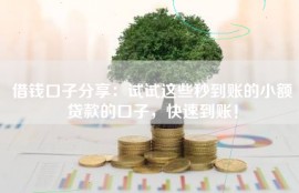 借钱口子分享：试试这些秒到账的小额贷款的口子，快速到账！