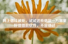 网上借钱被拒，试试这些借款一万哪里好借借款软件，不容错过