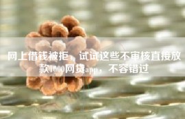 网上借钱被拒，试试这些不审核直接放款1000网贷app，不容错过