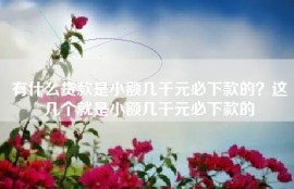 有什么贷款是小额几千元必下款的？这几个就是小额几千元必下款的