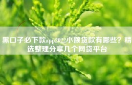 黑口子必下款app2022小额贷款有哪些？精选整理分享几个网贷平台