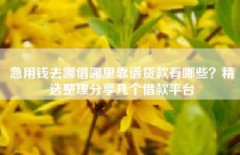 急用钱去哪借哪里靠谱贷款有哪些？精选整理分享几个借款平台