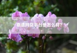 靠谱网贷平台是怎么样？