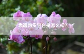 靠谱网贷平台是怎么样？