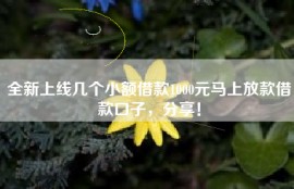 全新上线几个小额借款1000元马上放款借款口子，分享！