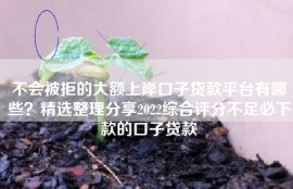 不会被拒的大额上岸口子贷款平台有哪些？精选整理分享2022综合评分不足必下款的口子贷款