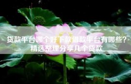 贷款平台哪个好下款借款平台有哪些？精选整理分享几个贷款
