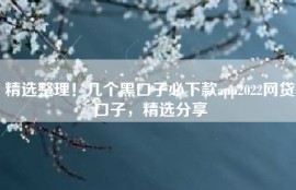 精选整理！几个黑口子必下款app2022网贷口子，精选分享